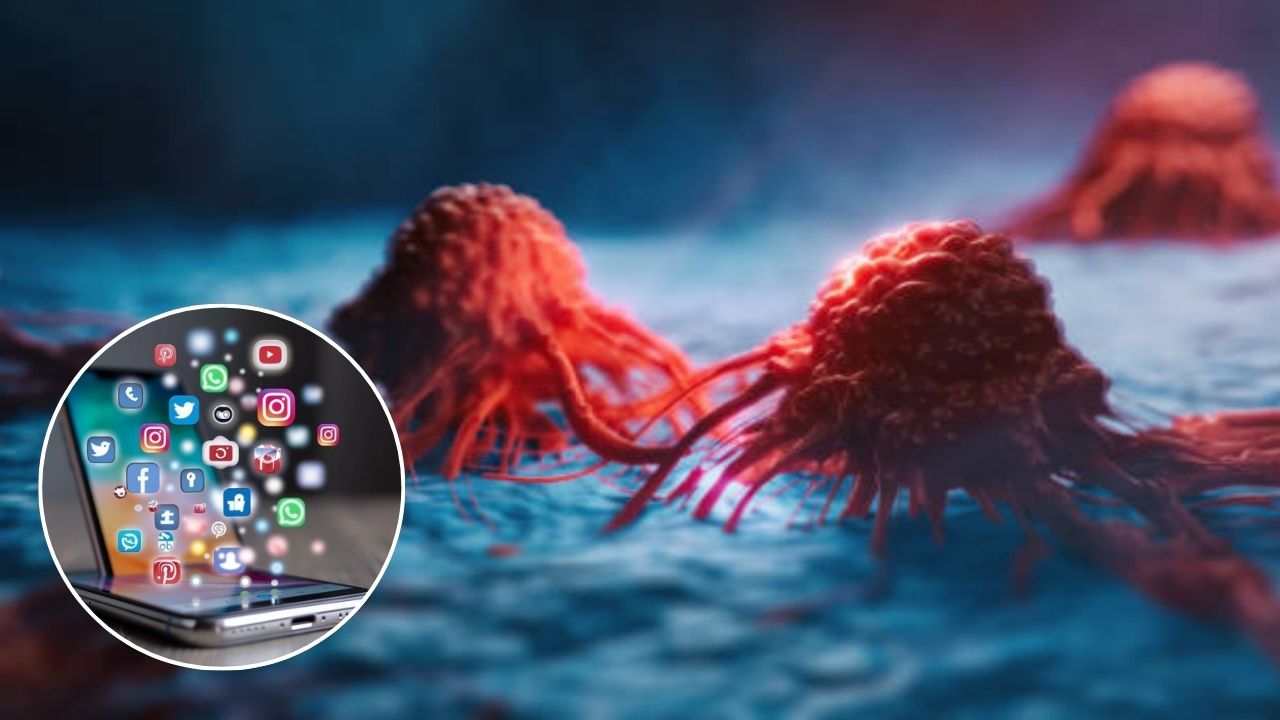 मोबाइल ॲपवरून कळणार कर्करोगाचा धोका; टाटा रुग्णालय विकसित करतंय खास मोबाइल ॲप