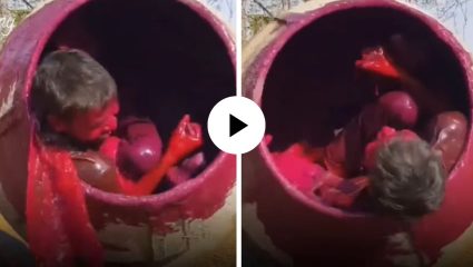 होळीचं अजब-गजब सेलिब्रेशन! रंगाने भरलेल्या सिमेंट मिक्सरमध्ये व्यक्तीला टाकून गरागरा फिरवलं…; Video Viral