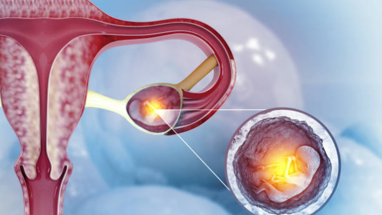 Pregnancy Tips: बाळ होण्यासाठी प्रयत्न करताय? 5 सोप्या पद्धतीने लवकर होईल Conceive