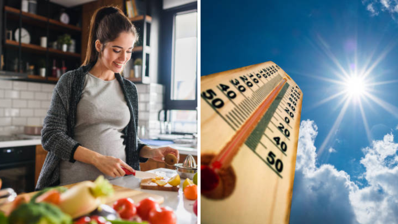 Pregnancy Tips: उन्हाळ्यात गरोदर महिलांनी काय काळजी घ्यावे, काय करावे आणि काय टाळावे; तज्ज्ञांचा सल्ला