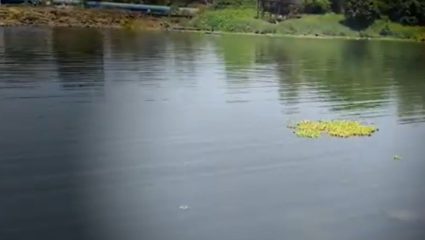 Ulhasnagar : सरिता संवर्धन समितीच्या वतीने उल्हास-वालधुनी नद्यांच्या दुरावस्थेविरोधात आंदोलन