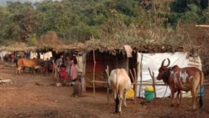वर्षातून एकदा संपूर्ण गाव जातं सुट्टीवर ; गावपळणी कोकणातील एक अद्भुत प्रथा