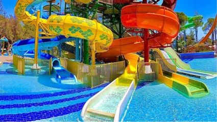 Pune Crime: धक्कादायक घटना! वॉटर पार्कमधील निष्काळजीपणामुळे महिलेचे अर्धे शरीर निकामी; गुन्हा दाखल