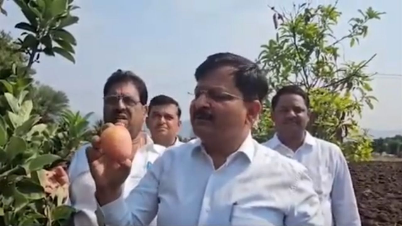 Satara Apple Farming : महाबळेश्वरच्या पायथ्याशी सफरचंदाची शेती; पर्यटकांची मोठी गर्दी!