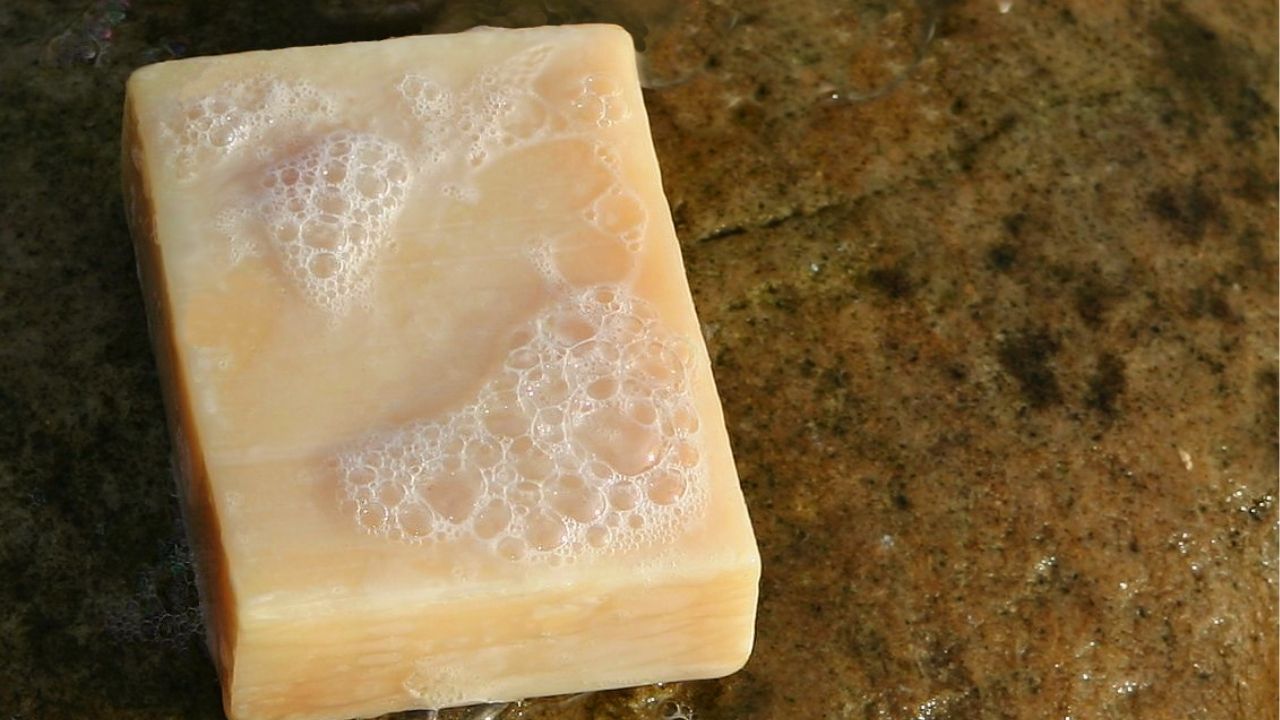 Nashik News: अकल्पित घटना! साबण खाल्ल्याने 20 वर्षीय युवकाचा मृत्यू, पोस्टमार्टेम अहवालाची प्रतीक्षा