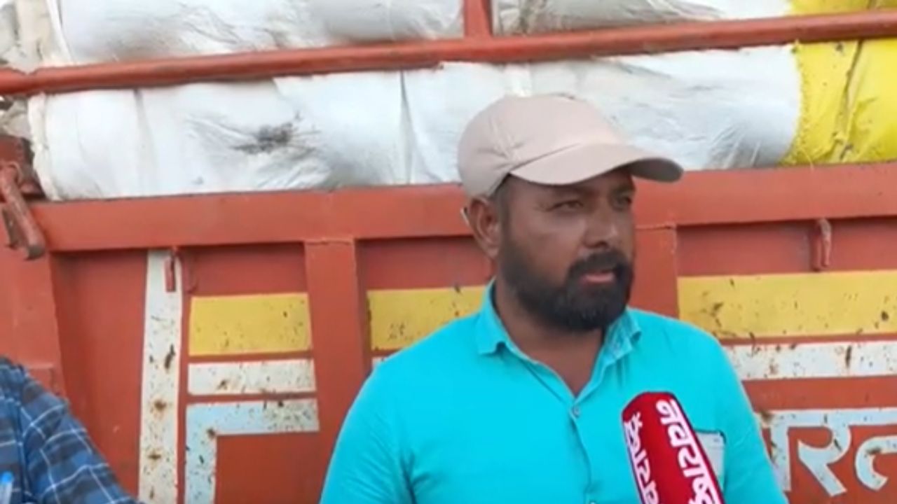 Akola News : कलिंगड झालं मातीमोल! 5रुपये किलो दराने विक्री, शेतकरी हतबल!