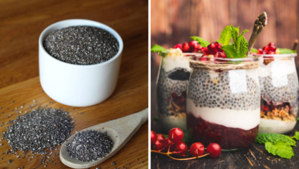 रोज Chia Seeds खाण्याने आरोग्याला काय मिळतात फायदे?