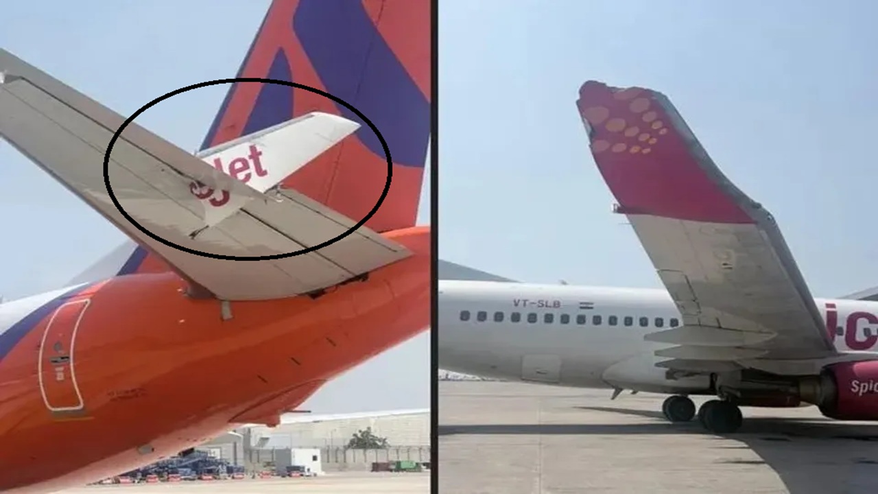 Delhi Airport : मोठा अपघात टळला! दिल्ली विमानतळावर दोन विमानांची टक्कर, सर्व प्रवासी सुरक्षित