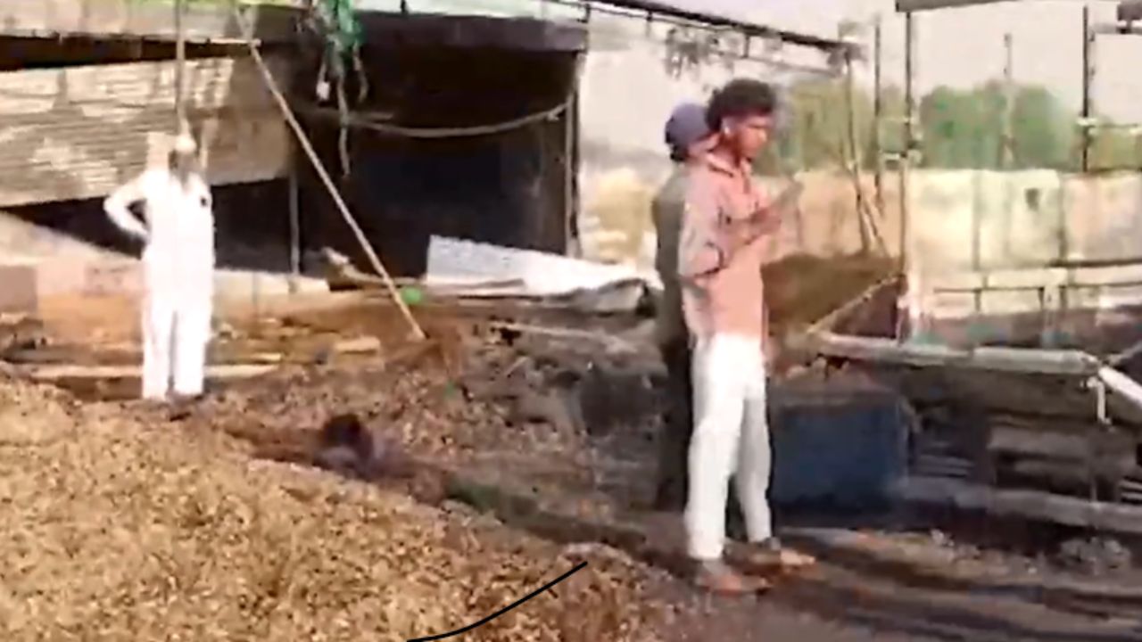 Dhule News : शॉर्टसर्किटमुळे ठिबक संच, चारा आणि पिकअप वाहन जळून खाक