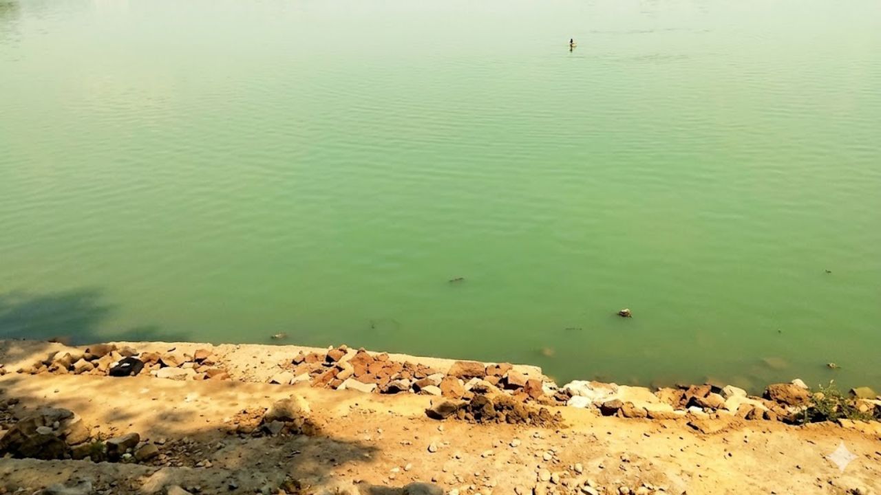 Chandrapur News: मूल तलावावर मालधक्का प्रकल्पाचे सावट; पर्यावरण आणि ढिवर समाजाच्या उपजीविकेवर संकट