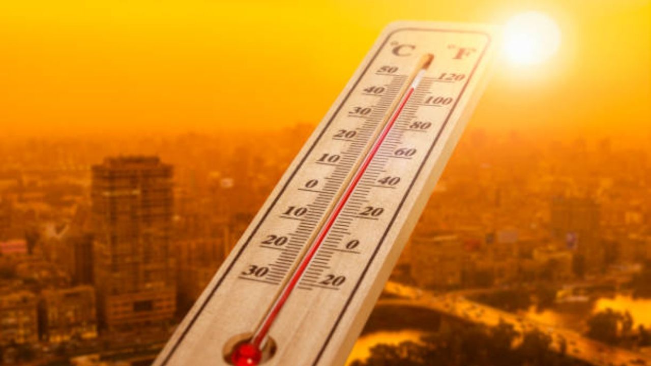 Heat Wave in maharashtra : राज्यात उष्णतेचा लाटेचा इशारा; राज्य आपत्कालीन कार्य केंद्राचे नागरिकांना खास आवाहन