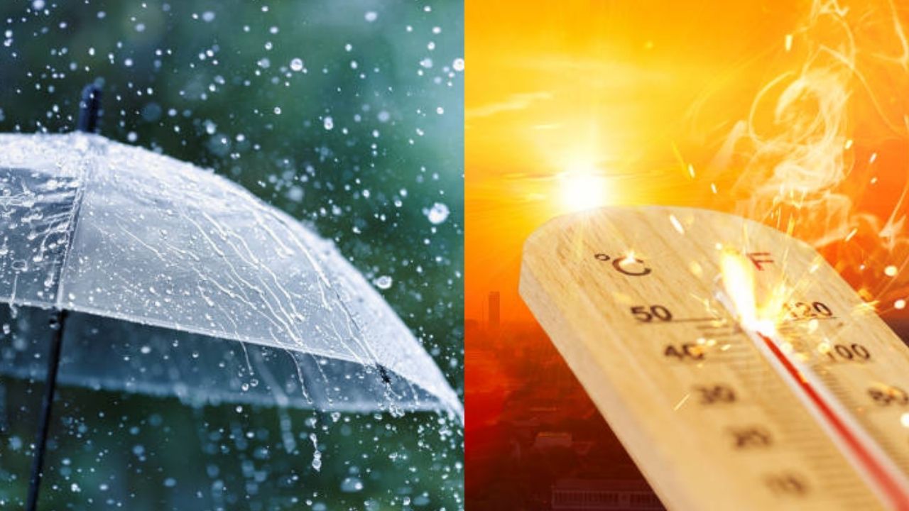 IMD Weather : उत्तर भागात उष्णतेची लाट तर ईशान्य भारतात मुसळधार वादळाचा इशारा, जाणून घ्या तुमच्या राज्याची स्थिती