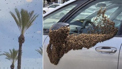 Bible Prophecy : केवळ निसर्गचक्र नाही! धार्मिक ग्रंथांतील ‘प्रलयाच्या’ खुणा इस्रायलमध्ये? ‘या’ भविष्यवाण्या झाल्या खऱ्या