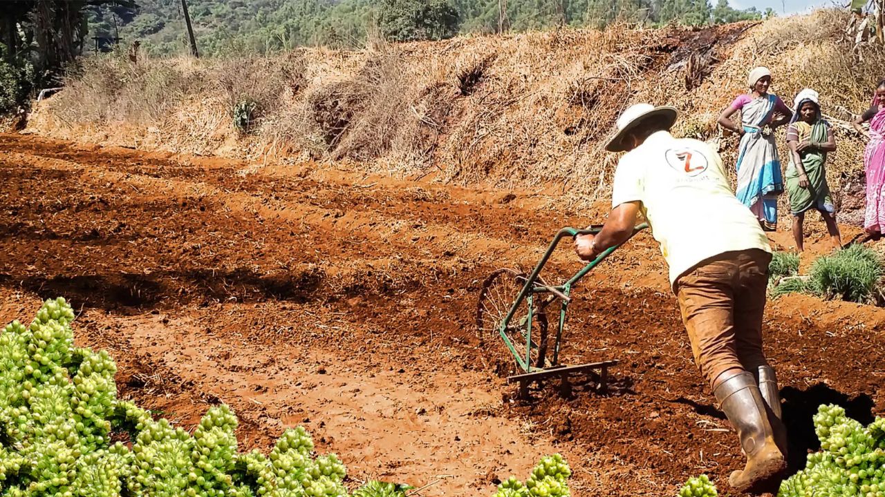 Kolhapur News : खरीप हंगामापूर्वीच अडवणूक; खतविक्रेत्यांच्या संपामुळे शेतकरी सापडला कोंडीत
