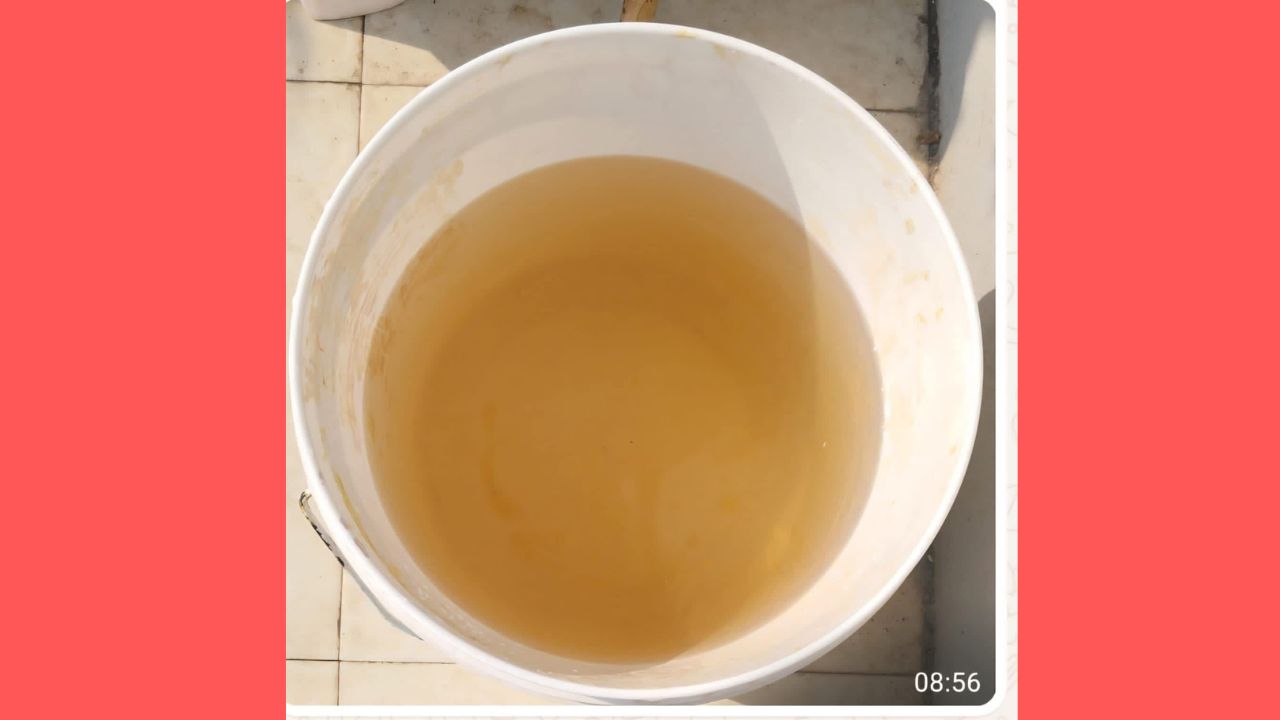 Water Issue News: शाहूपुरीतील पाणीपुरवठा पिवळसर! दूषित पाण्याने नागरिकांचे आरोग्य धोक्यात? जाणून घ्या उपाययोजना