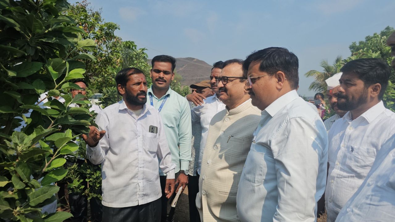 Satara News: साताऱ्यात फुललं ‘काश्मीर’! पसरणीच्या घाटात सफरचंदाची यशस्वी बाग; शेतकरी बापू भिलारेंचा राज्यभर डंका