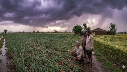 Ahilyanagar News: अहिल्यानगर जिल्ह्यातील ‘या’ भागांना अवकाळी पावसाने जोरदार झोडपले, कांदा-गव्हाचे नुकसान