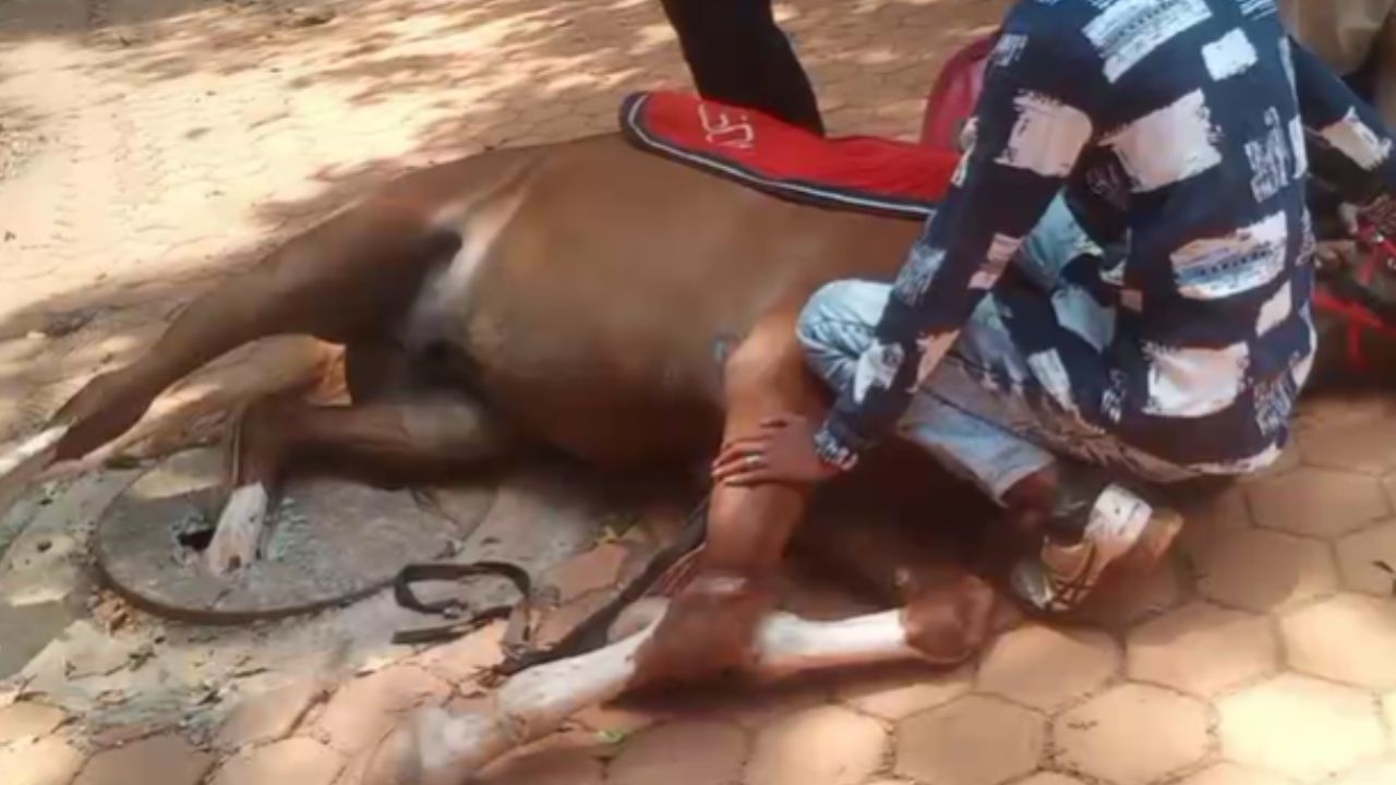 Matheran News : निकृष्ट दर्जाचे काम आणि प्रशासनाचा भोंगळ कारभार; मलनिःसारण उघडे चेंबर्स ठरतायत धोकादायक