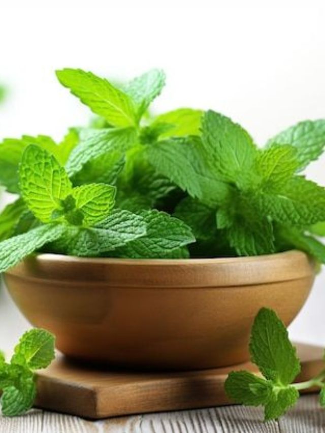 उन्हाळ्यात पुदिना खाण्याचे फायदे काय आहेत?