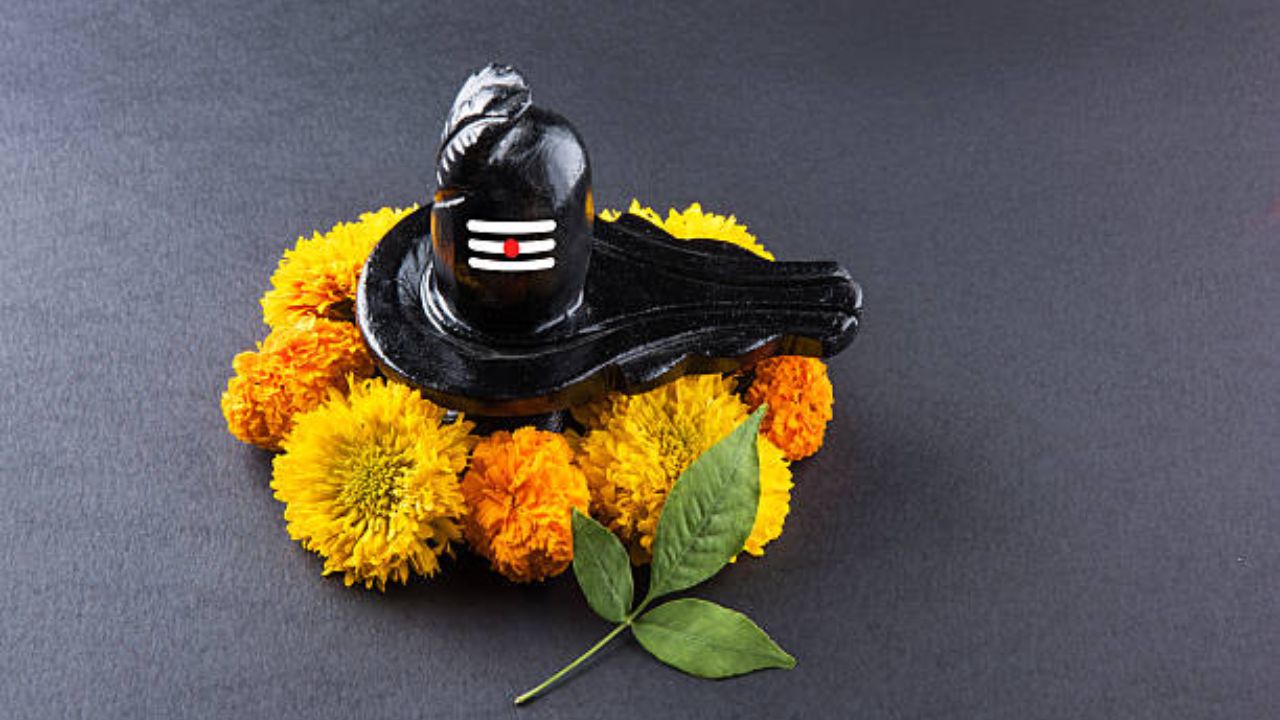 Monday Puja: शिवलिंगावर कोणती फुले अर्पण करावीत आणि कोणती टाळावीत? जाणून घ्या नियम