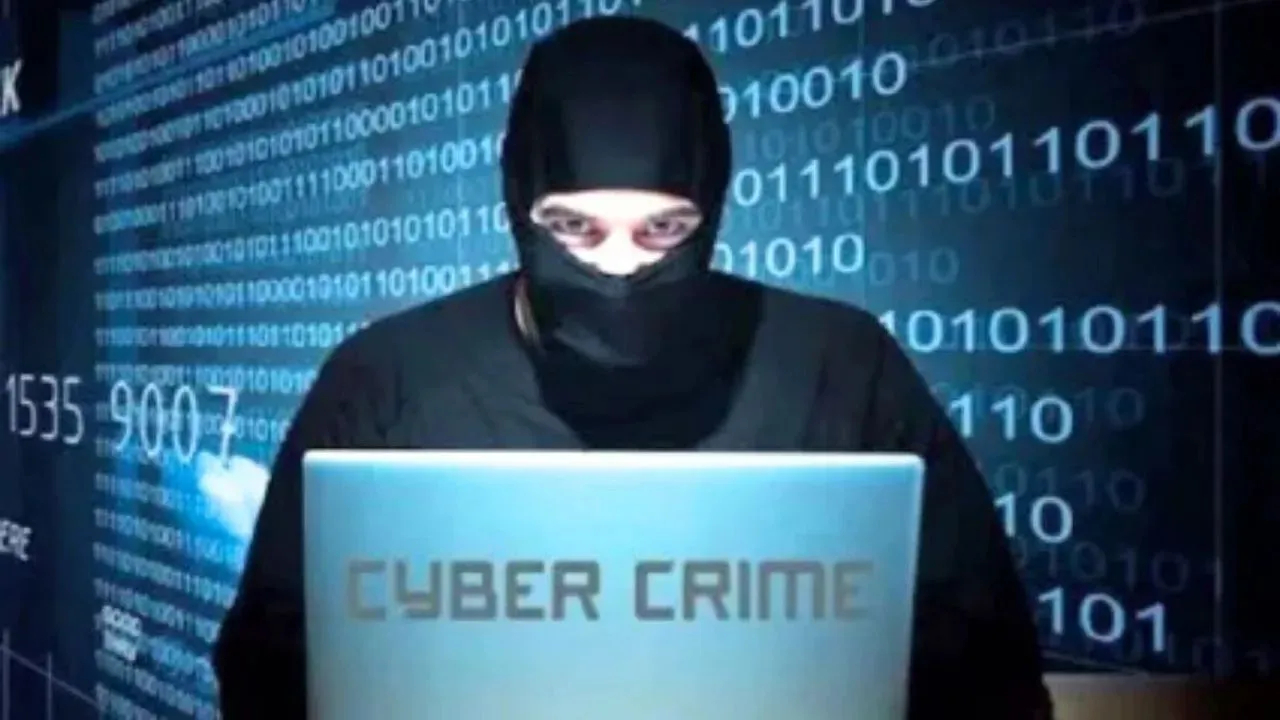 आता Cyber Fraud ला चाप बसणार! ‘या’ कंपनीने केली डिजिटल सिक्युरिटी नेटवर्कची घोषणा