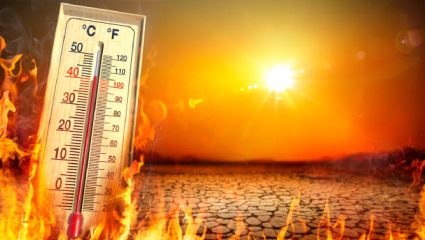 Heat Wave Alert: काम असेल तरच घराबाहेर पडा; राज्यात उन्हाचा जाळ, पुढील काही दिवस…