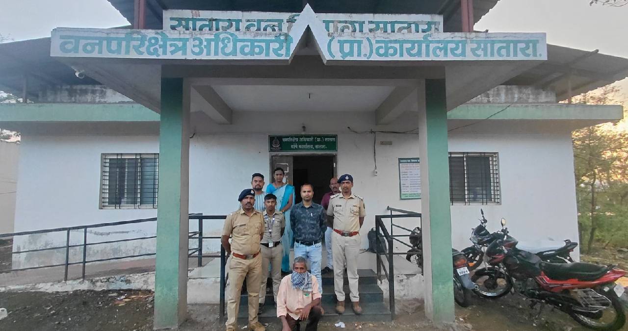 जाणीवपूर्वक वणवा लावाल तर….; Satara वनविभागाची मोठी कारवाई, एक आरोपी अटकेत