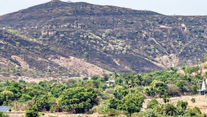 Ahilyanagar News: निष्काळजीपणा नाडला आणि डोंगर जाळून खाक झाला! फोन करून देखील अधिकाऱ्यांनी दाखवली पाठ