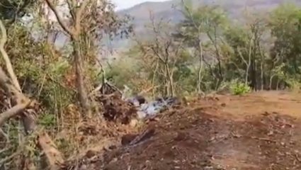 Pimpri Chinchwad : मावळात वनसंपदेची निर्घृण कत्तल; लाकूडतोड्या पुष्पा’वर कठोर कारवाईची मागणी 