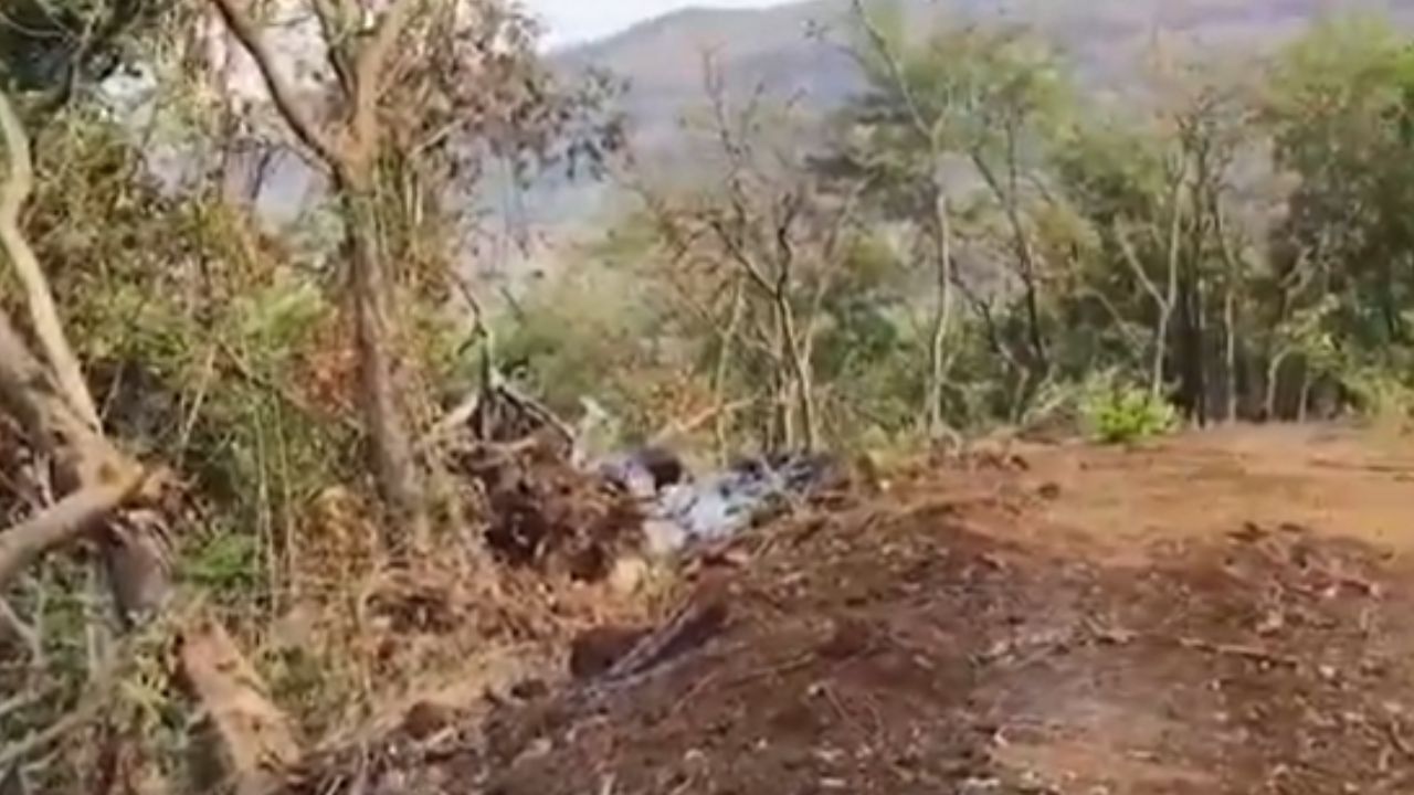 Pimpri Chinchwad : मावळात वनसंपदेची निर्घृण कत्तल; लाकूडतोड्या पुष्पा’वर कठोर कारवाईची मागणी 