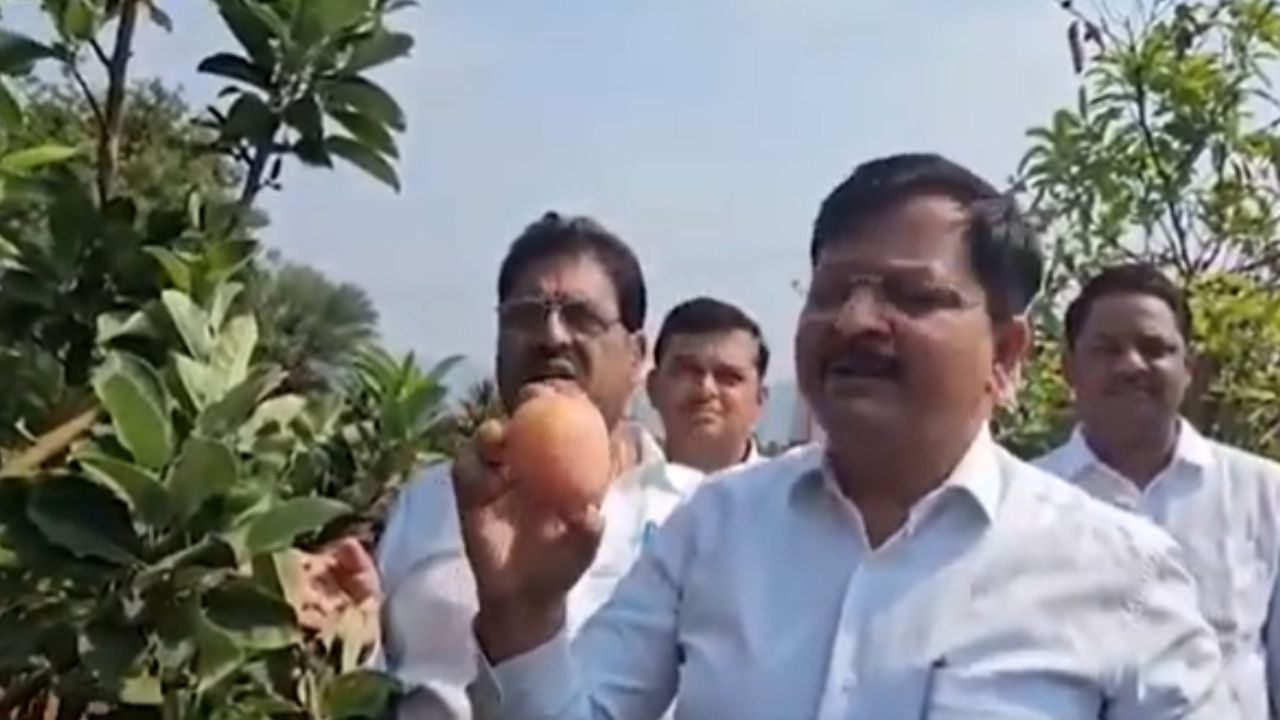 Satara Apple Farming : महाबळेश्वरच्या पायथ्याशी सफरचंदाची शेती; पर्यटकांची मोठी गर्दी!