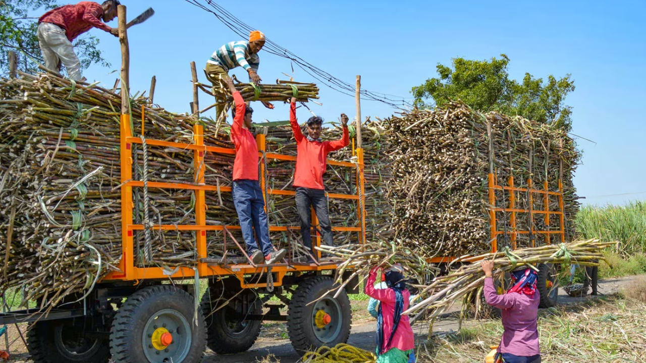 60 वर्षांनंतर बदलणार उसाशी संबंधित कायदा! शेतकऱ्यांचा फायदा की तोटा? Ethanol निर्मितीवरही मोठा परिणाम?