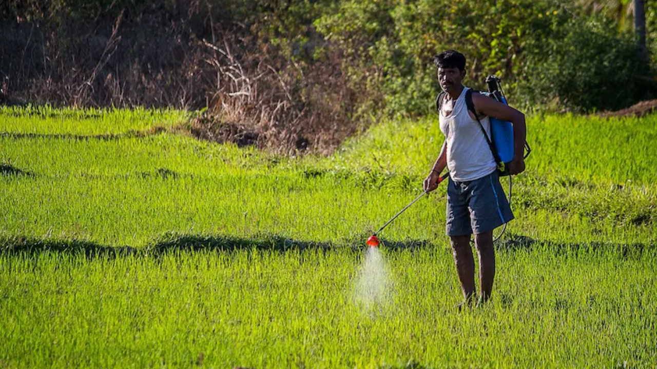Kisan Maandhan Yojana: शेतकऱ्यांनाही मिळणार ‘सरकारी बाबू’सारखी पेन्शन! दरमहा खात्यात तब्बल इतके रुपये; जाणून घ्या खास योजना