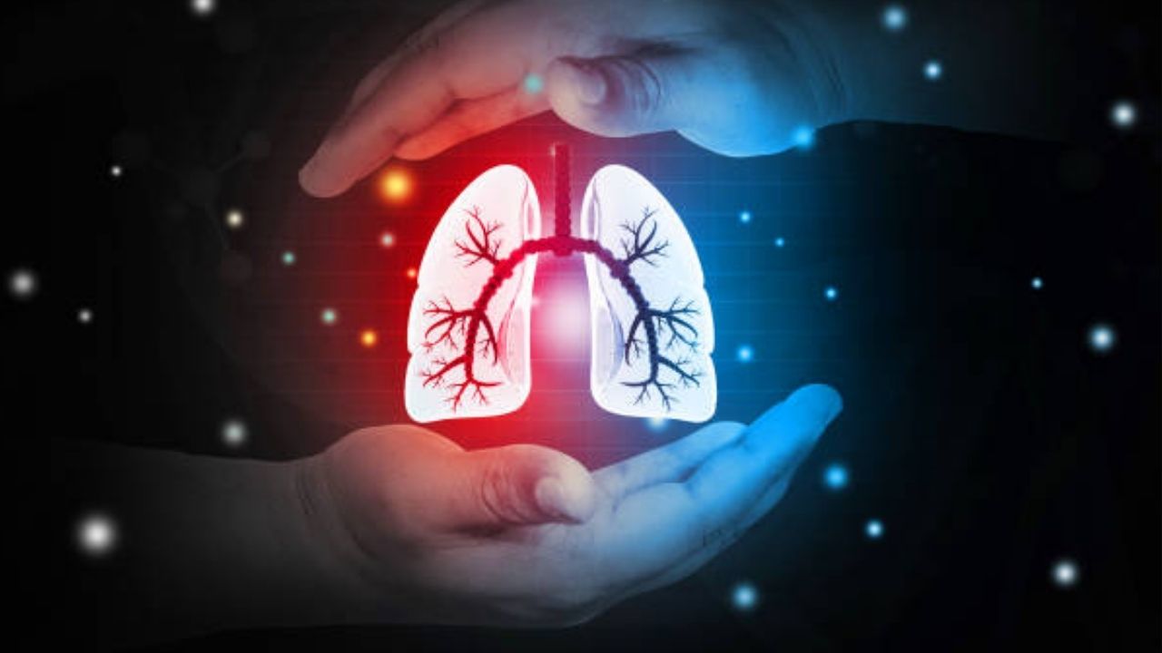 Hingoli News: हिंगोली जिल्हा होणार “क्षयरोग मुक्त जिल्हा”; जिल्हा प्रशासनाने राबवले खास अभियान