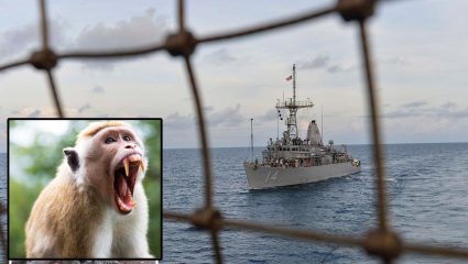 Hormuz Strait: कोण म्हटलं माकड इराणच्या बाजूने? होर्मुझमोहिमेवर जाणाऱ्या US Navyच्या सैनिकासोबत घडले ‘असे’ विपरीत अन् तो चक्क…