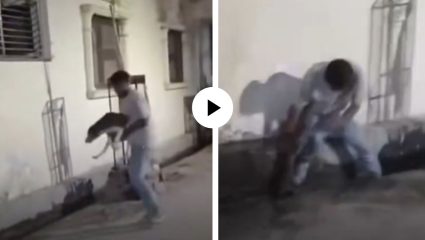 याला म्हणतात इंस्टंट कर्मा! कुत्र्यासोबत मस्ती करायला गेला पण शेवटी त्याच्यासोबतच कांड झाला… मजेदार Video Viral