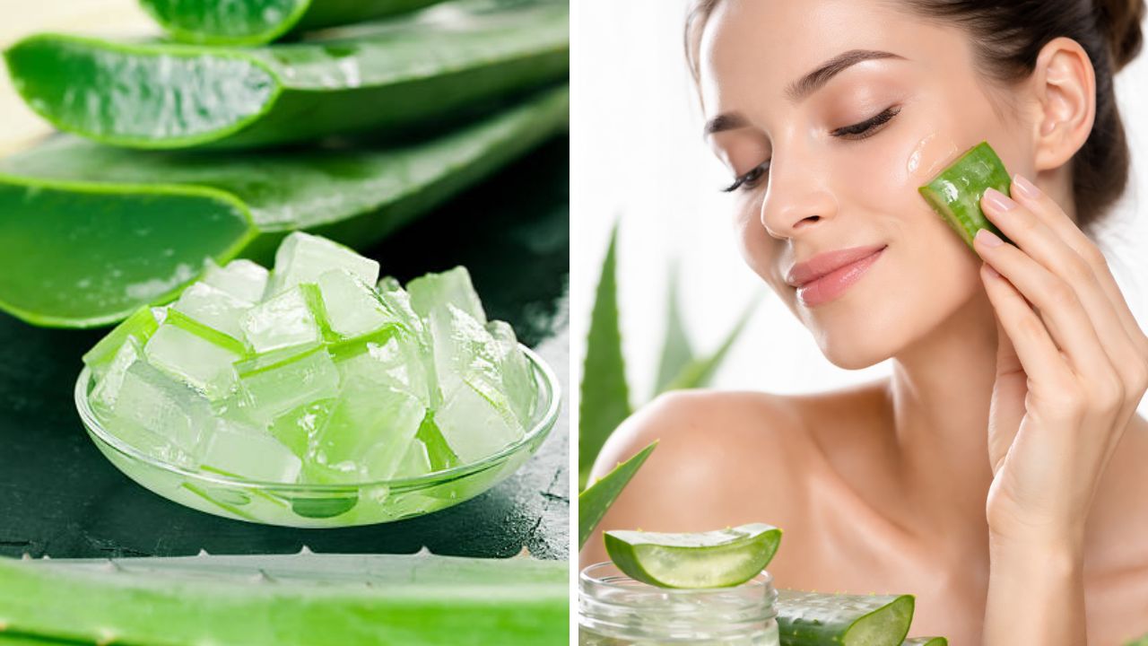 चेहऱ्यावर येईल कोरियन स्किनसारखा ग्लो! ‘या’ पद्धतीने चेहऱ्यावर लावा शक्तिशाली कोरफड, त्वचा होईल देखणी