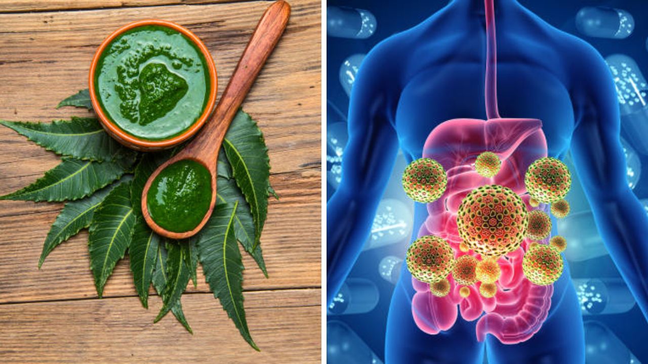 आयुर्वेदिक गुणधर्मांनी समृद्ध आहेत कडुलिंबाची पाने! शक्तिशाली पानांचे त्वचा केसांसह संपूर्ण शरीराला होतील भरमसाट फायदे