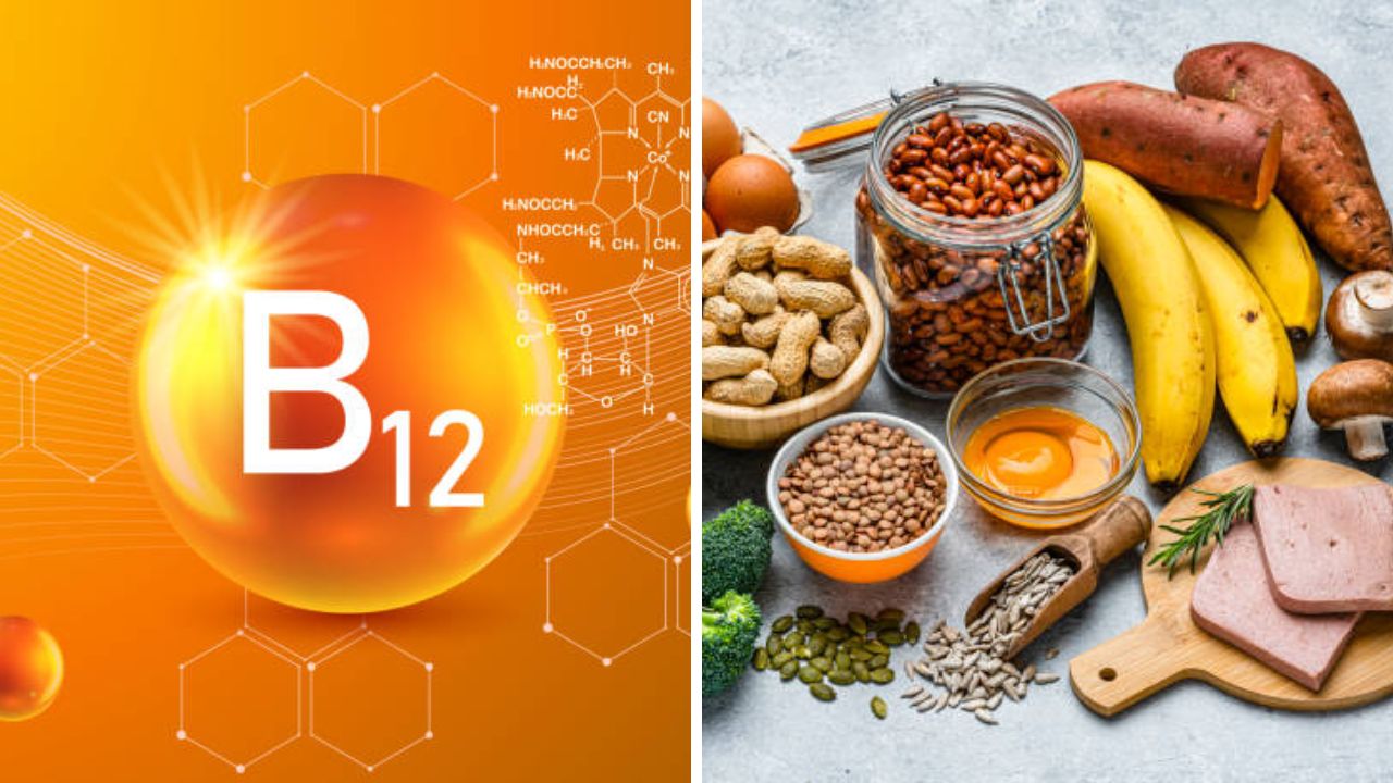न चुकता आहारात करा ‘या’ Vitamin B12 वाढवणाऱ्या शाहाकारी पदार्थांचा समावेश, कमजोर नसांना मिळेल पोषण