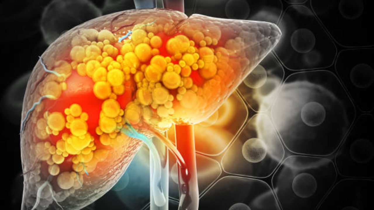 वाढत्या उन्हाळ्यात लिव्हरची कार्यक्षमता टिकवून ठेवण्यासाठी आहारात करा ‘या’ भाज्यांचा समावेश, स्वस्तात मस्त उपाय