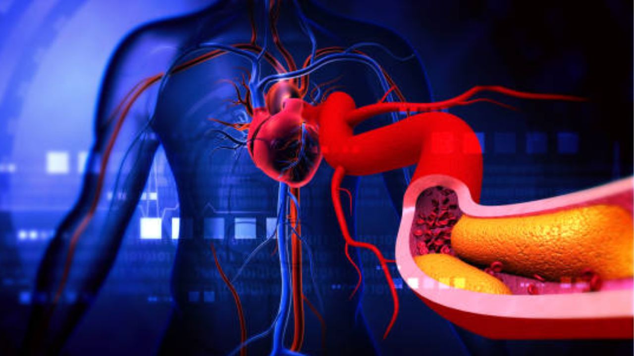 हृदयाची प्रत्येक नस होईल मुळापासून स्वच्छ! हार्ट अटॅकचा धोका टाळण्यासाठी आहारात करा ‘या’ फळांचा समावेश