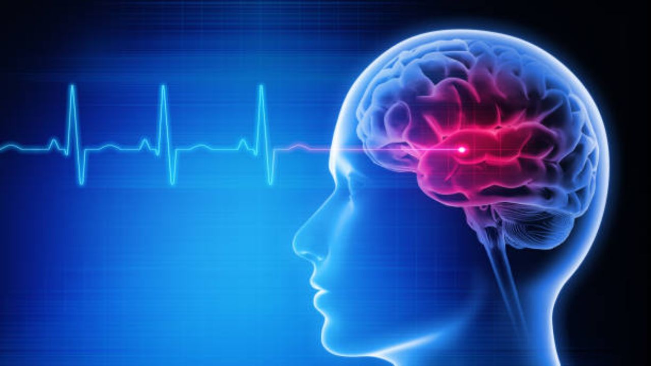 मेंदूला सूज येण्याची कारणे? शरीरात दिसणाऱ्या ‘या’ लक्षणांकडे अजिबात करू नका दुर्लक्ष, अन्यथा कोणत्याही क्षणी स्ट्रोक