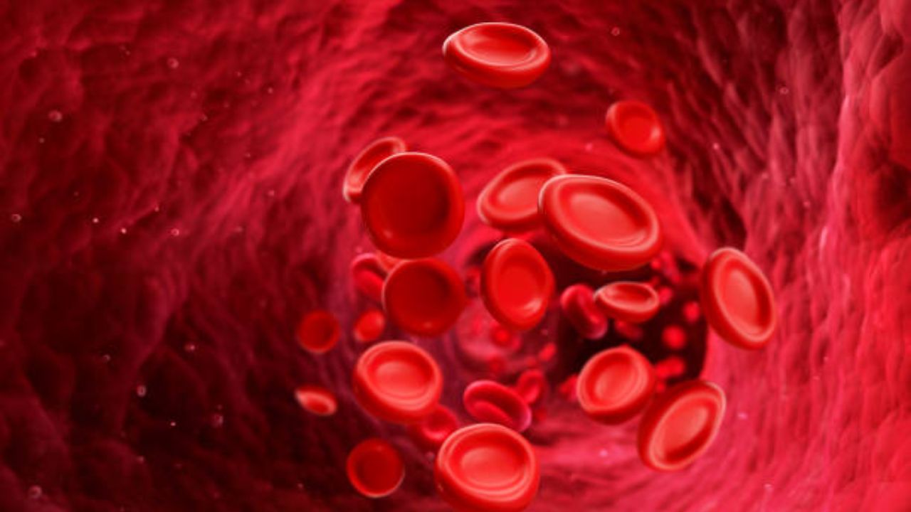 हिमोग्लोबिनची कमतरता दूर करण्यासाठी आहारात करा ‘या’ लोहयुक्त शक्तिशाली पदार्थांचे सेवन, झपाट्याने वाढेल रक्त