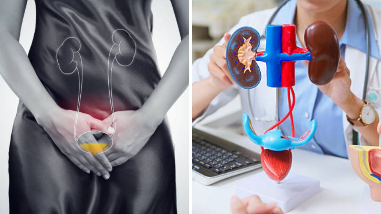 दैनंदिन आहारातील ‘या’ चमचमीत पदार्थांच्या सेवनामुळे वाढते युरिन इन्फेक्शन, नाजूक अवयवांची घ्या अशा पद्धतीने काळजी