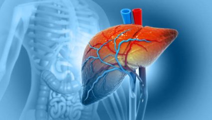 Liver Day 2026: यकृत निरोगी राहण्यासाठी फॉलो करा ‘या’ सवयी, कधीच होणार नाही गंभीर आजारांची लागण