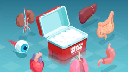 अवयवदानासाठी अमरावती प्रादेशिक ‘हब’! अवयव प्रत्यारोपणाला मिळणार नवे बळ, ‘हब अँड स्पोक’ मॉडेलमध्ये समावेश