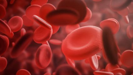Hemophilia म्हणजे काय? रक्तस्त्राव थांबवण्याचा शरीराच्या क्षमतेवर कसा परिणाम होतो, जाणून घ्या तज्ज्ञांनी दिलेली माहिती