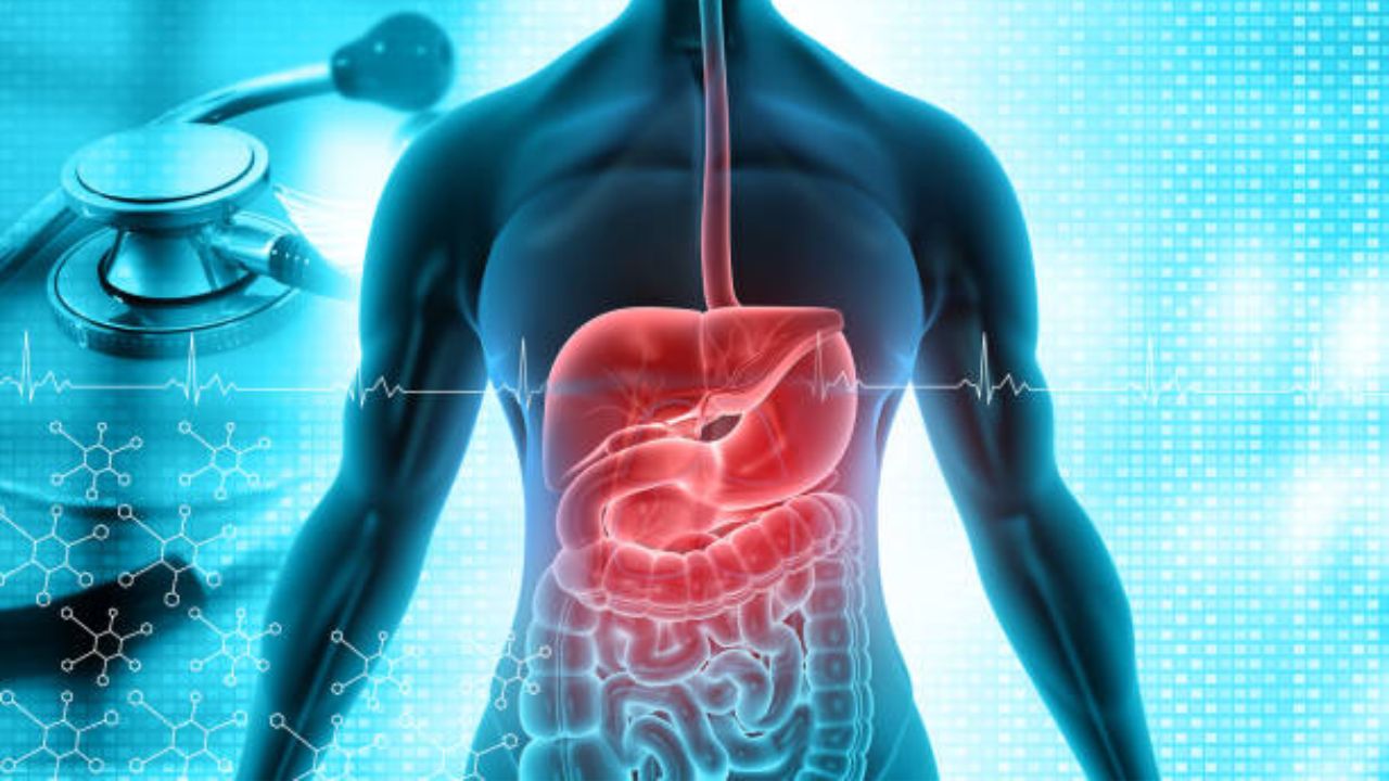 पोटाला सूज आल्यानंतर शरीरात दिसून येतात ‘ही’ गंभीर लक्षणे, वेळीच उपचार करून टाळता येईल मोठा धोका