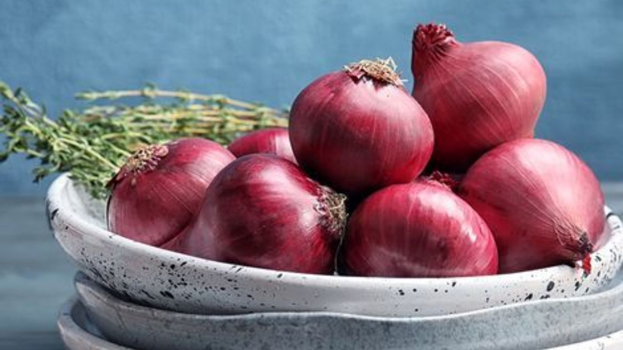 प्रत्येक भाजीत वापरला जाणारा ‘कांदा’ पंतप्रधान मोदीसुद्धा आवडीने खातात…, याचे फायदे, तोटे माहिती आहेत का?