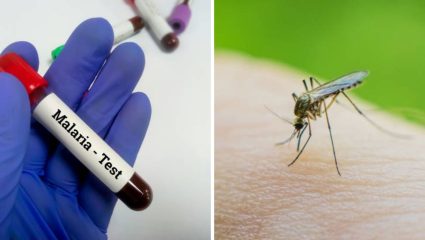 महाराष्ट्रात सर्वत्र पीएफ मलेरियाचा वाढता धोका! जागतिक मलेरिया दिनानिमित्त गंभीर प्रकारावर आरोग्य यंत्रणांनी दिला गंभीर इशारा